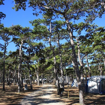 Camping Planik Hotel Ražanac Esterno foto