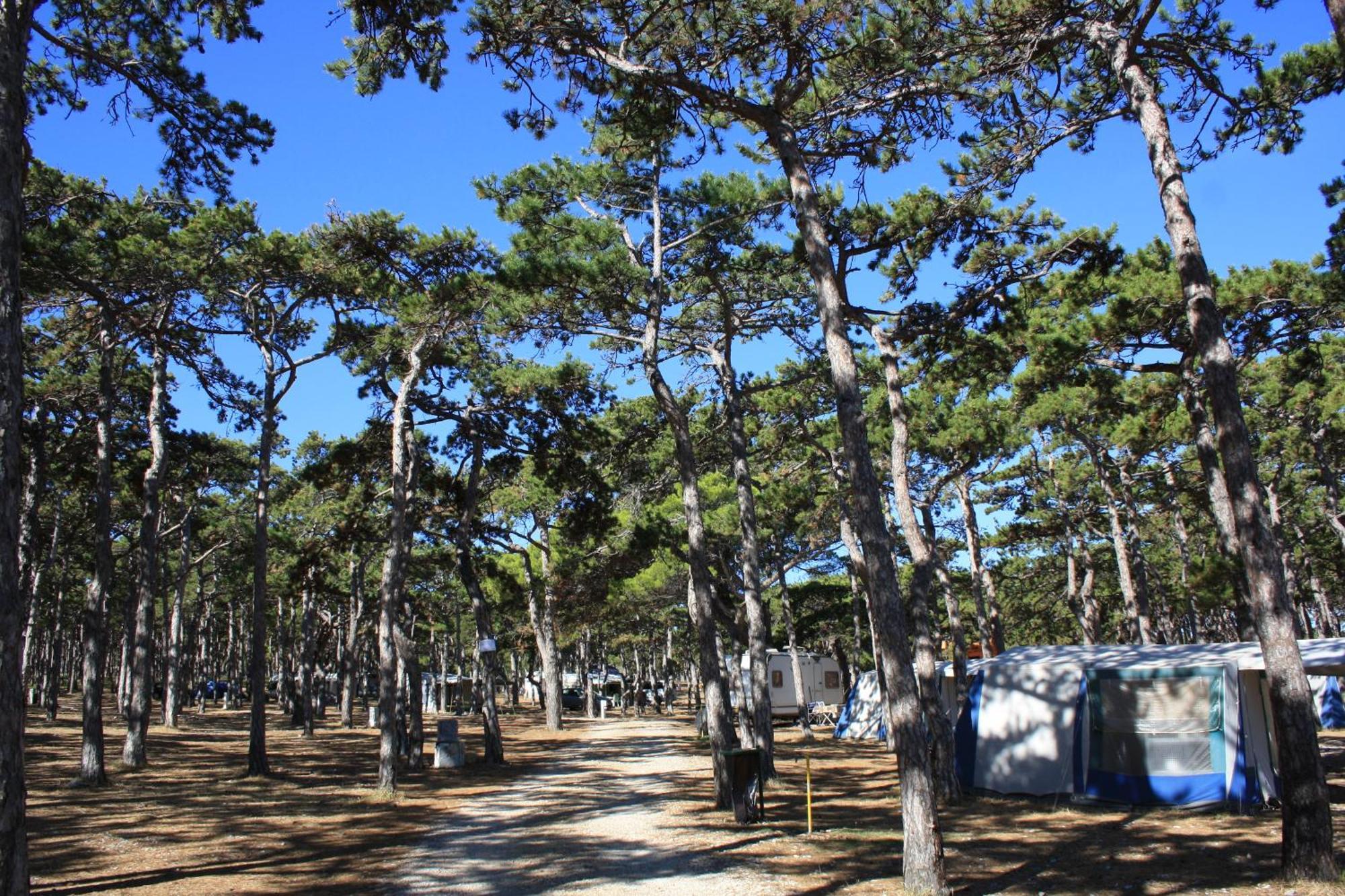 Camping Planik Hotel Ražanac Esterno foto